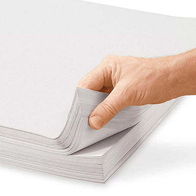 Papel de periódico no impreso en rollos y hojas 45 gsm 48 gsm 48.8 gsm