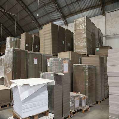 Fabricantes líderes de tableros duplex de espalda gris con recubrimiento de PE