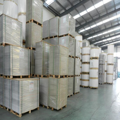 China Proveedor Buena calidad personalizada 250g 300g 350g Papel blanco de espalda doble