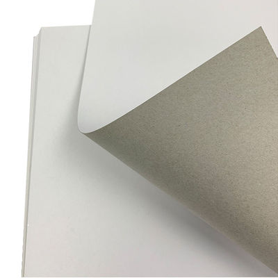 Hojas de cartón Blanco recubierto de espalda gris Al por mayor 350 g C1s Blanco papel de cartón dúplex