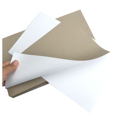 Papel blanco de doble lado 200Gsm 230Gsm 250Gsm 300Gsm 350Gsm 400Gsm 450Gsm
