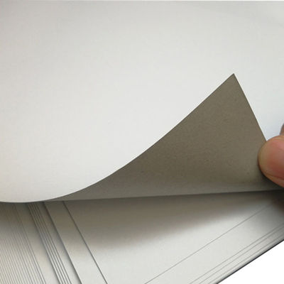 Papel recubierto de un lado Materia prima de cartón dúplex con espalda gris tamaño personalizado