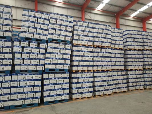 Papel de impresión offset de tamaño personalizado Papel blanco sin recubrimiento
