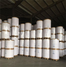Venta al por mayor 170G-400Gsm Blanco Fbb de cartón de marfil Hojas FBB