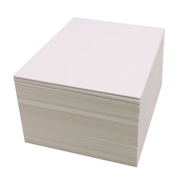 El papel blanco de marfil SBS 230/250/300/350gsm C1S