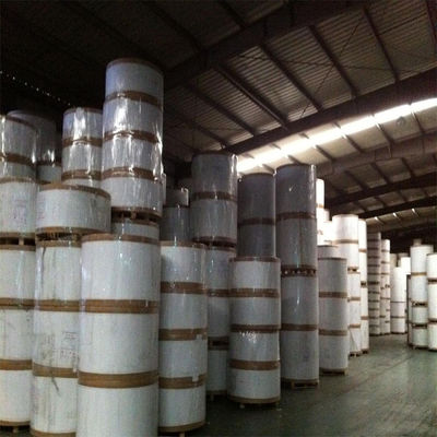 El papel blanco de marfil SBS 230/250/300/350gsm C1S