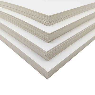 C2S Art Board/Art Card Paper 300 gsm para impresión y embalaje de bolsas