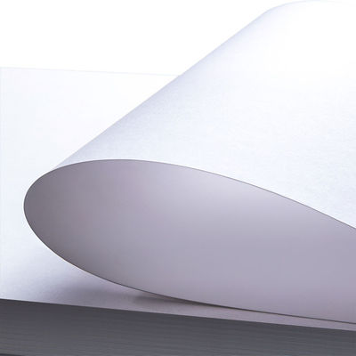 Ningbo plegado C1S recubierto 300gm 350gm fbb cartón de marfil cartón de papel