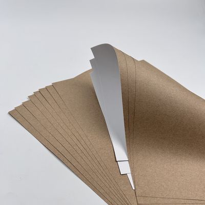 Pintura de recubrimiento Papel de recubrimiento Kraft Jumbo con material de recubrimiento PE asequible