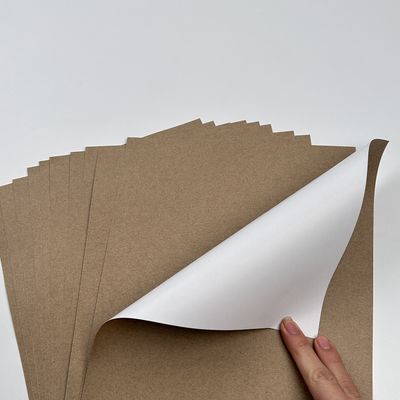 Pintura de recubrimiento Papel de recubrimiento Kraft Jumbo con material de recubrimiento PE asequible