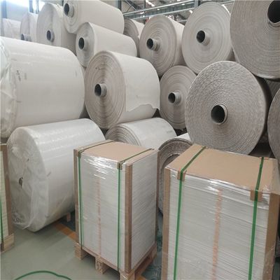 Papel de piedra reciclable resistente al agua 100um 120um Papel de impresión de portátil tamaño cortado