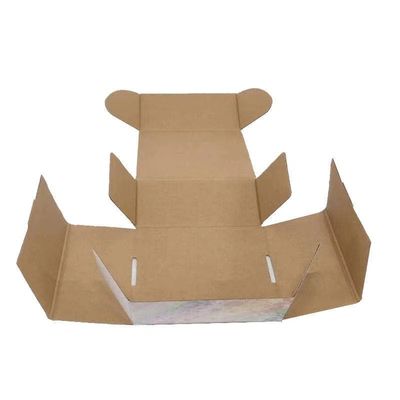 Caja de papel de cartón ecológico para el envío
