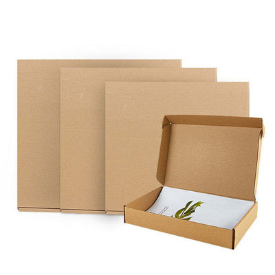 Embalaje Logotipo personalizado Impreso Caja de cartón corrugado